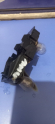 Renault 21 arka stop duyu