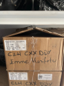 Clh cxx ddy emme manifortu