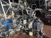Oto Çıkma Parça / Volkswagen / Transporter / Motor / V Kayışı / Çıkma Parça 