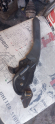 Oto Çıkma Parça / Mazda / 6 / Fren / El Fren Tabancası / Çıkma Parça 
