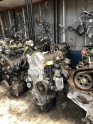 Oto Çıkma Parça / Fiat / Linea / Motor / Motor (komple) / Çıkma Parça 
