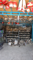 Oto Çıkma Parça / Bmw / X5 / Motor / Motor (komple) / Çıkma Parça 