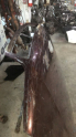 Oto Çıkma Parça / Nissan / Maxima / Kaporta & Karoser / Kaput / Çıkma Parça 