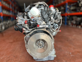 Oto Çıkma Parça / Nissan / Navara / Motor / Motor (komple) / Çıkma Parça 