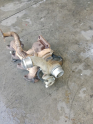 Oto Çıkma Parça / Ford / Tourneo Connect / Motor / Turbo / Çıkma Parça 