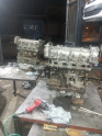 Linea motor