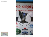 Kia Sportage 2.0 arka defransiyel