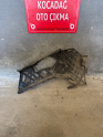 Oto Çıkma Parça / Volkswagen / Passat / Tampon / Tampon Braketi / Çıkma Parça 