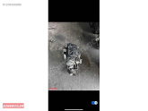 Oto Çıkma Parça / Volkswagen / Caddy / Motor / Komple Motor / Çıkma Parça 