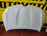 Oto Çıkma Parça / Renault / Megane / Kaporta & Karoser / Kaput / Çıkma Parça 