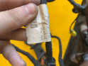 Oto Çıkma Parça / Volkswagen / Passat / Koltuk & Döşeme / Kapı Kolçağı / Yan Sanayi 
