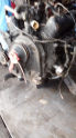 Oto Çıkma Parça / Ford / Granada / Motor / Motor (komple) / Çıkma Parça 