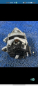 Renault symbol Talya 1.5 dCi şarj dinamosu