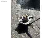 Oto Çıkma Parça / Bmw / 1 Serisi / Motor / Vakum Pompası / Çıkma Parça 
