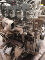 Oto Çıkma Parça / Renault / Megane / Motor / Motor (komple) / Çıkma Parça 