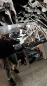 Oto Çıkma Parça / Audi / A3 / Kaporta & Karoser / Kaput / Çıkma Parça 