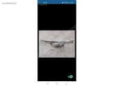Oto Çıkma Parça / Citroen / Saxo / Oto Cam / Silecek Motoru / Çıkma Parça 