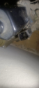 Oto Çıkma Parça / Jeep / Compass / Defransiyel / Ön Defransiyel / Çıkma Parça 
