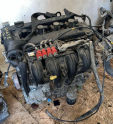 Oto Çıkma Parça / Ford / Focus / Motor / Motor (komple) / Çıkma Parça 