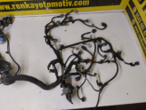Oto Çıkma Parça / Dacia / Duster / Motor / Motor Tesisatı / Çıkma Parça 