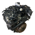 Oto Çıkma Parça / Volkswagen / Passat / Motor / Motor (komple) / Çıkma Parça 