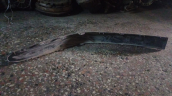 Oto Çıkma Parça / Renault / Megane / Tampon / Tampon Koruyucu / Çıkma Parça 