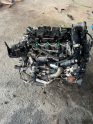 Oto Çıkma Parça / Ford / Focus / Motor / Motor (komple) / Çıkma Parça 