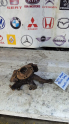 Oto Çıkma Parça / Volkswagen / Polo / Alt Takım / Taşıyıcı / Çıkma Parça 