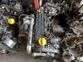 Oto Çıkma Parça / Renault / Kangoo / Motor / Motor (komple) / Çıkma Parça 