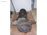 Oto Çıkma Parça / Peugeot / 206 / Filtre / Hava Filtresi Kazanı / Çıkma Parça 