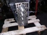 Oto Çıkma Parça / Renault / Megane / Motor / Motor (komple) / Çıkma Parça 