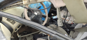 Hurda Belgeli Araçlar / Nissan / Primera