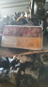 Volvo 240 sağ stop