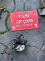 Oto Çıkma Parça / Kia / Sorento / Motor / Mazot Pompası / Çıkma Parça 