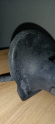 Oto Çıkma Parça / Fiat / Palio / Ayna / Sol Dış Ayna / Çıkma Parça 
