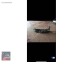 Oto Çıkma Parça / Volkswagen / Golf / Tampon / Ön Tampon / Çıkma Parça 