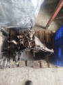 Oto Çıkma Parça / Peugeot / Partner / Şanzıman / Şanzıman Komple / Çıkma Parça 
