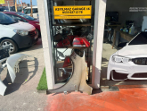 Oto Çıkma Parça / Citroen / C-elysee / Kaporta & Karoser / Sağ Ön Çamurluk / Çıkma Parça 