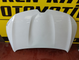 Oto Çıkma Parça / Renault / Megane / Kaporta & Karoser / Kaput / Çıkma Parça 
