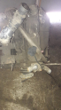 Oto Çıkma Parça / Mazda / 121 / Motor / Motor (komple) / Çıkma Parça 