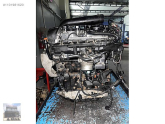 Oto Çıkma Parça / Volkswagen / Passat / Motor / V Kayışı / Sıfır Parça 