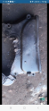 Oto Çıkma Parça / Mazda / 323 / Motor / Triger Kapağı / Çıkma Parça 