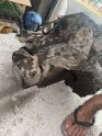 Oto Çıkma Parça / Peugeot / 106 / Şanzıman / Şanzıman Komple / Çıkma Parça 