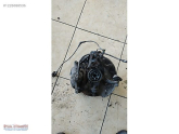 Oto Çıkma Parça / Audi / A3 / Alt Takım / Taşıyıcı / Çıkma Parça 