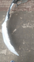 Oto Çıkma Parça / Honda / HR-V / Tampon / Ön Tampon / Çıkma Parça 