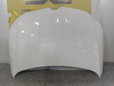 Oto Çıkma Parça / Renault / Megane / Kaporta & Karoser / Kaput / Çıkma Parça 