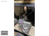 Oto Çıkma Parça / Bmw / X1 / Şanzıman / Şanzıman Komple / Çıkma Parça 