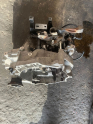 Oto Çıkma Parça / Volkswagen / Polo / Şanzıman / Şanzıman Komple / Çıkma Parça 