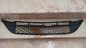 Oto Çıkma Parça / Mercedes / AMG / Tampon / Orta Izgara / Çıkma Parça 