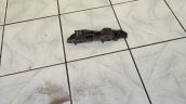 Oto Çıkma Parça / Opel / Combo / Tampon / Tampon Braketi / Çıkma Parça 